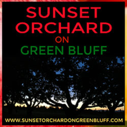 sunset-orchard-new